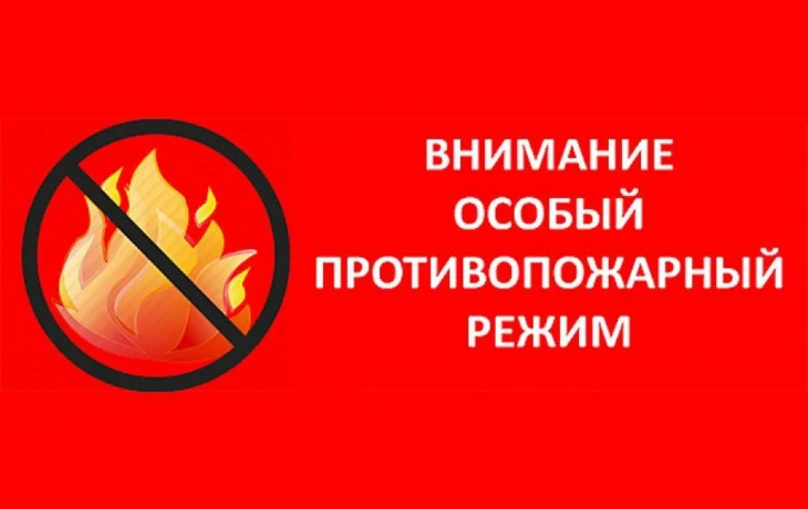 В Красноярском крае введен особый противопожарный режим В Красноярском крае введен особый противопожарный режим